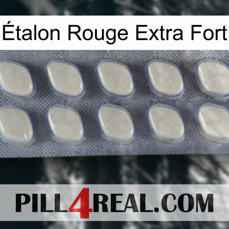 Étalon Rouge Extra Fort 08